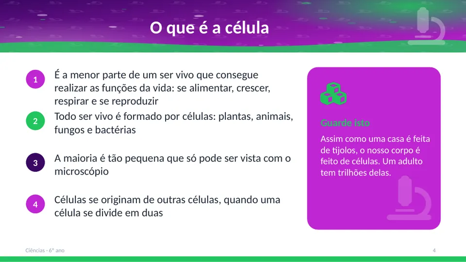 Slide 4