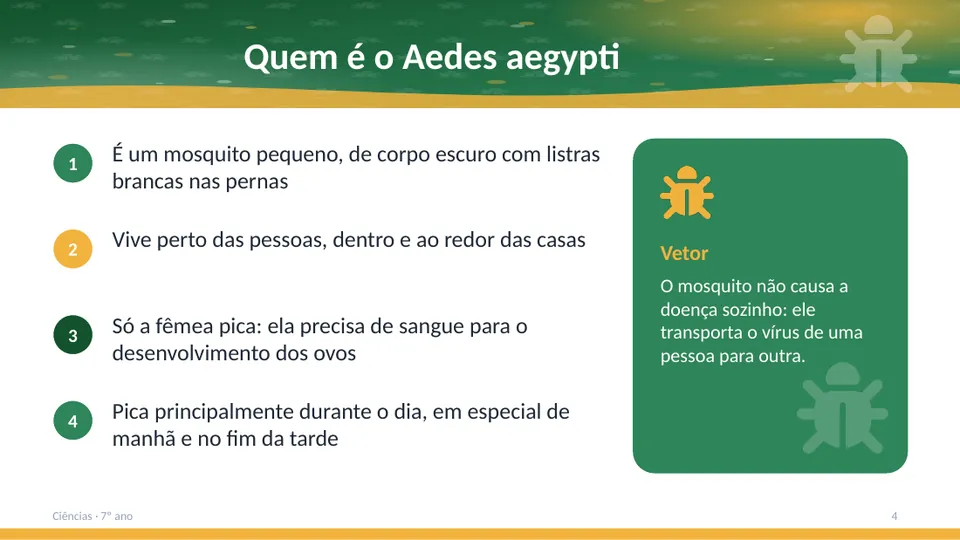 Slide 4