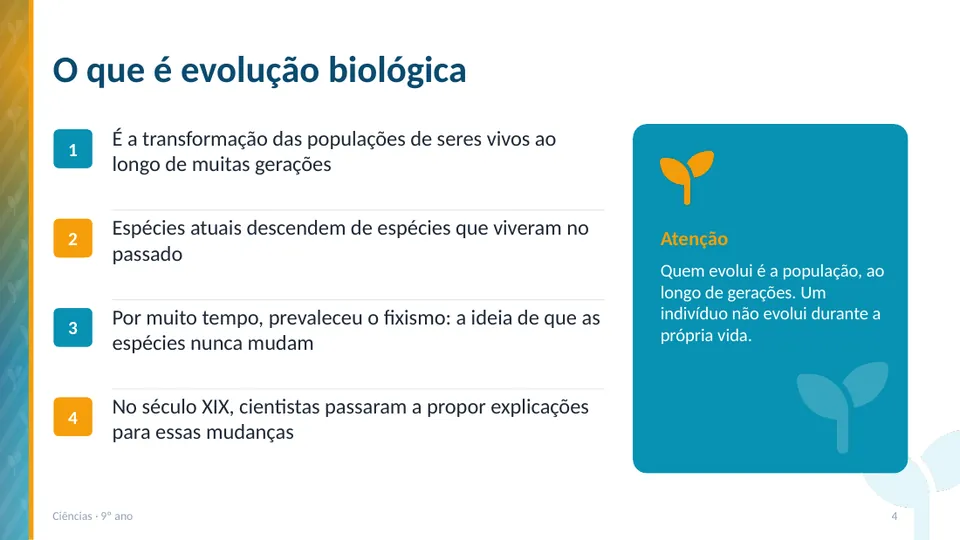 Slide 4