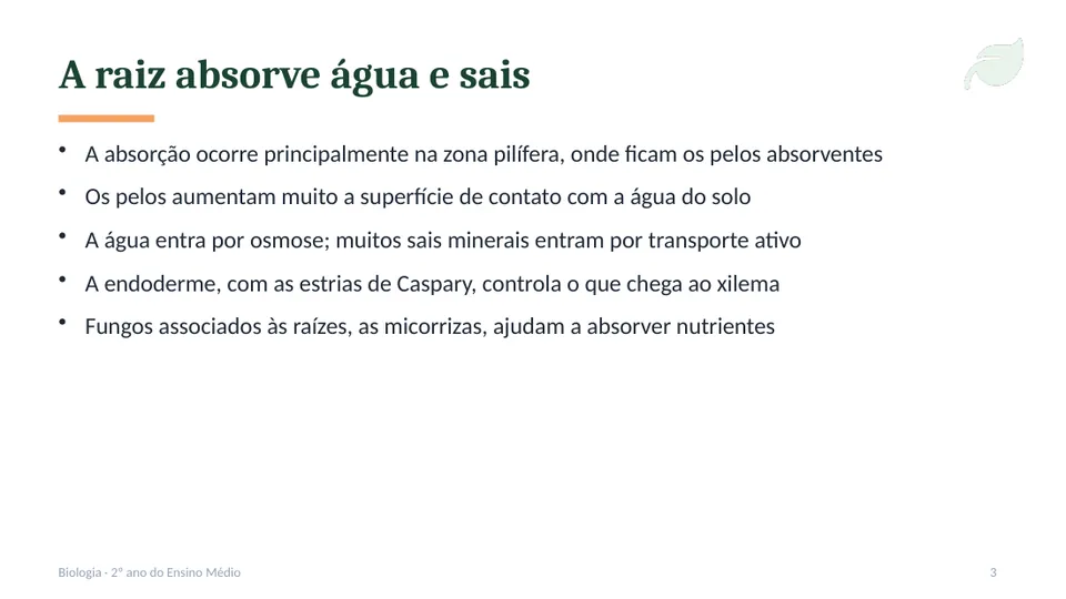 Slide 3
