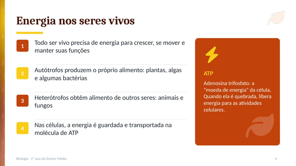 Slide 4