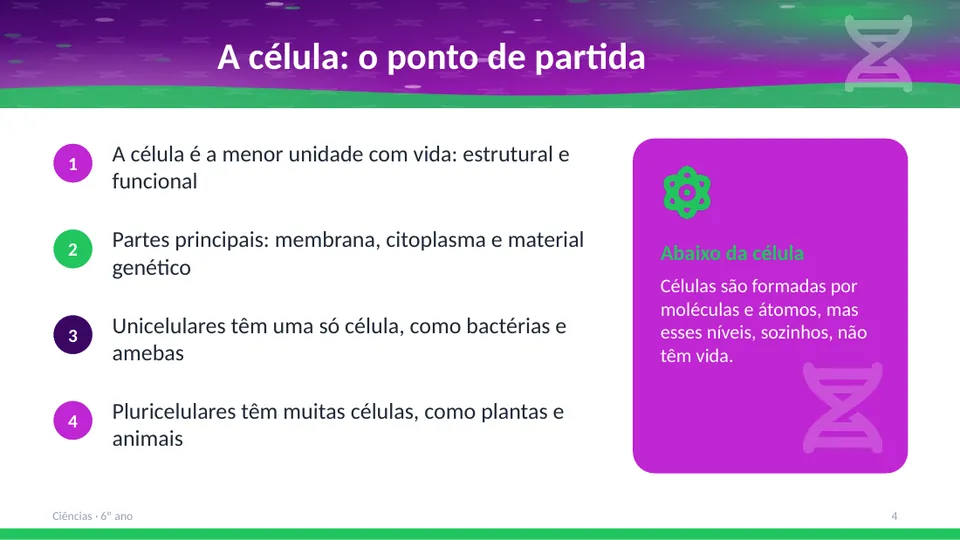 Slide 4